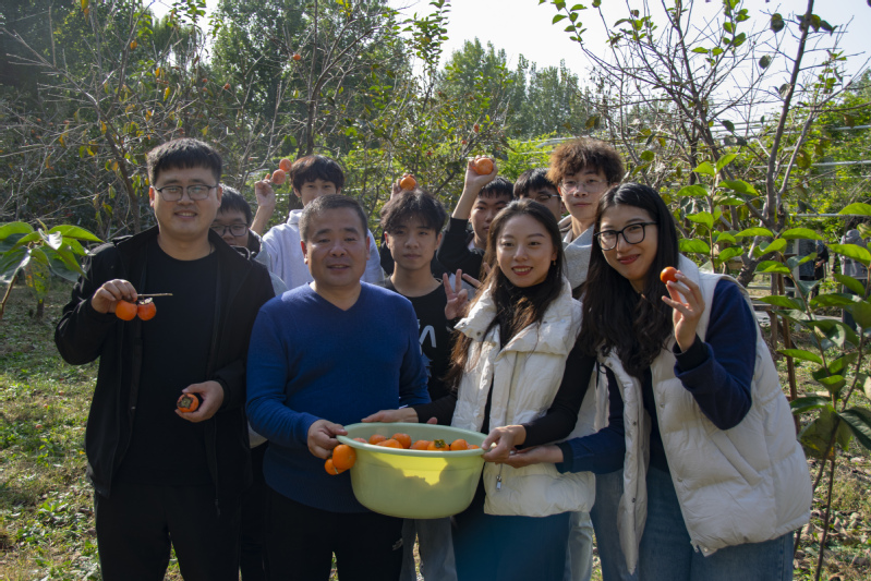 “柿”情話意，黨徽暖秋