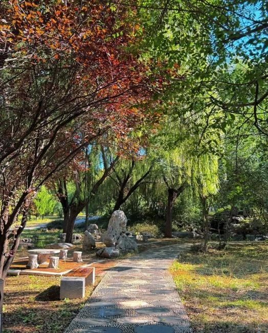 秋意正濃，詩畫校園